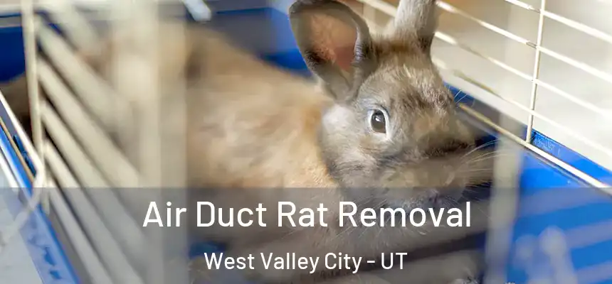  Air Duct Rat Removal West Valley City - UT