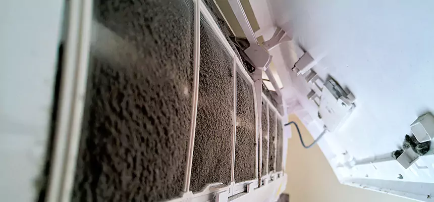 Preventive Air Duct Bacteria Removal in West Valley City