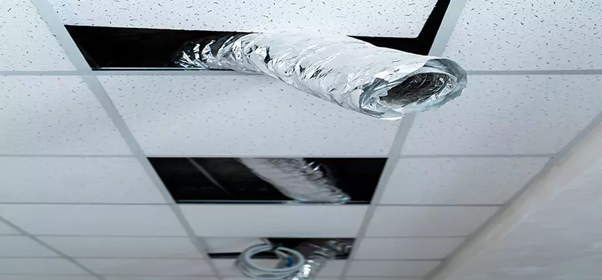 Affordable HVAC Sanitizing After Pest Removal in West Valley City