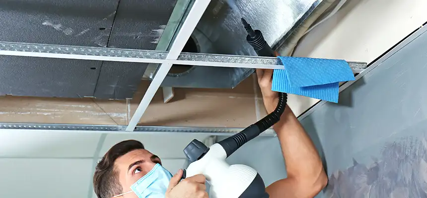 Our Air Duct Rodent Removal Services in West Valley City, UT