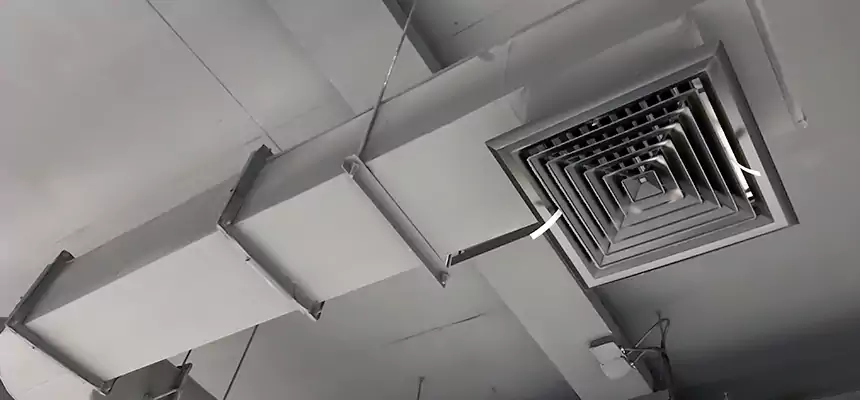 Our Pest Removal From Ducts Services in West Valley City, UT