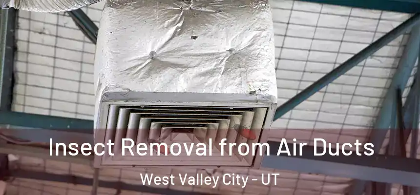Insect Removal from Air Ducts West Valley City - UT
