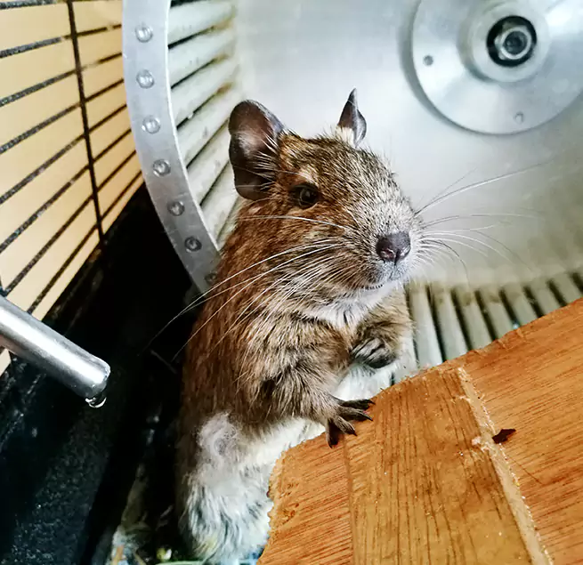 Why Homeowners & Businesses Trust Us West Valley City, UT?