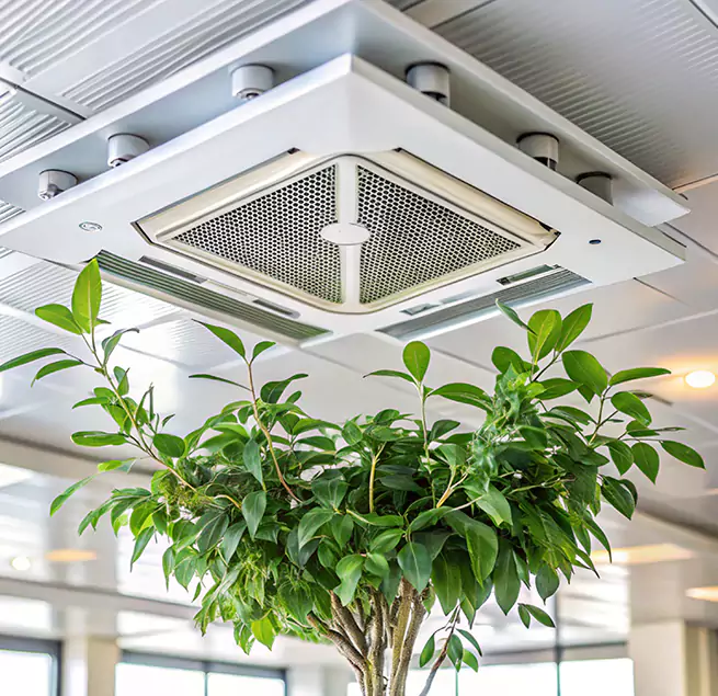 Why Homeowners & Businesses Trust Us in West Valley City, UT